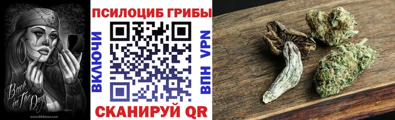 Купить закладки  Задонск  Галлюциногенные грибы мицелий 